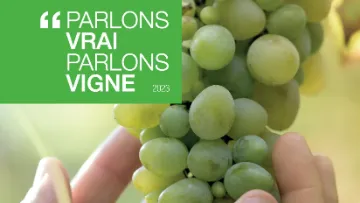 magazine pvpc 2023